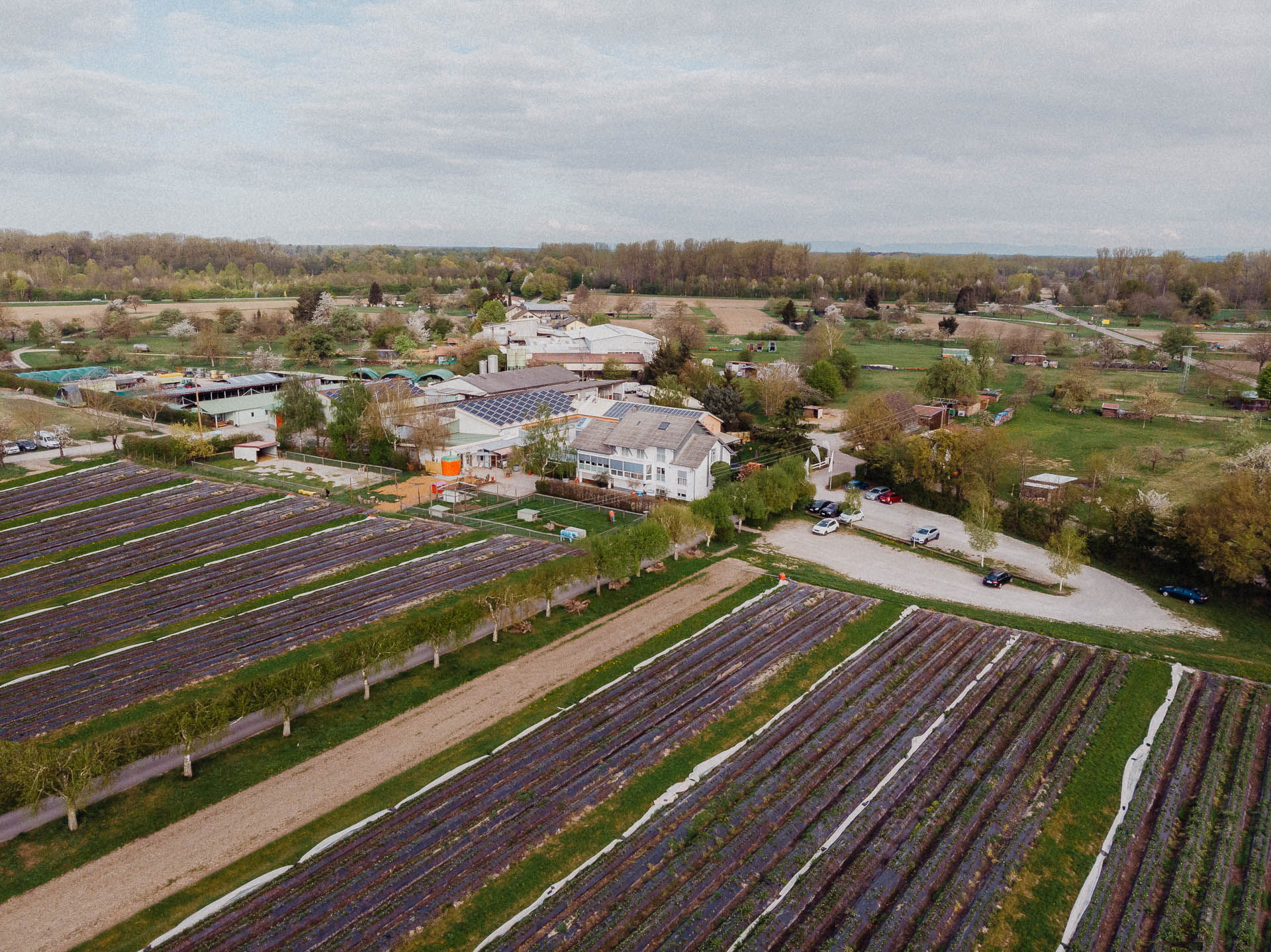 Erdbeer-Café Huber-Hof